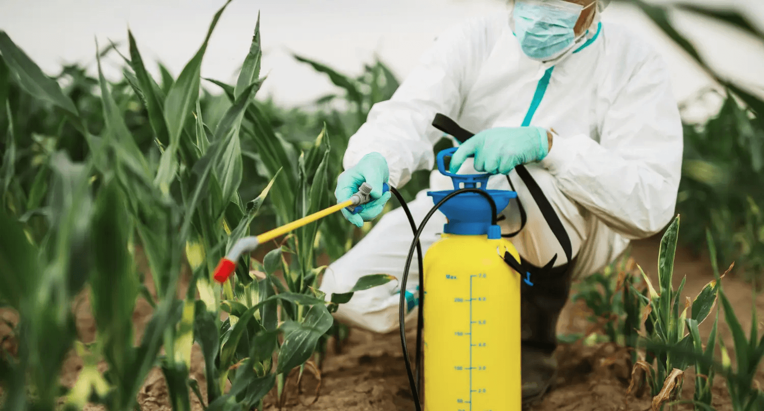 Integrated Pest Risk Management Solutions for Modern Properties