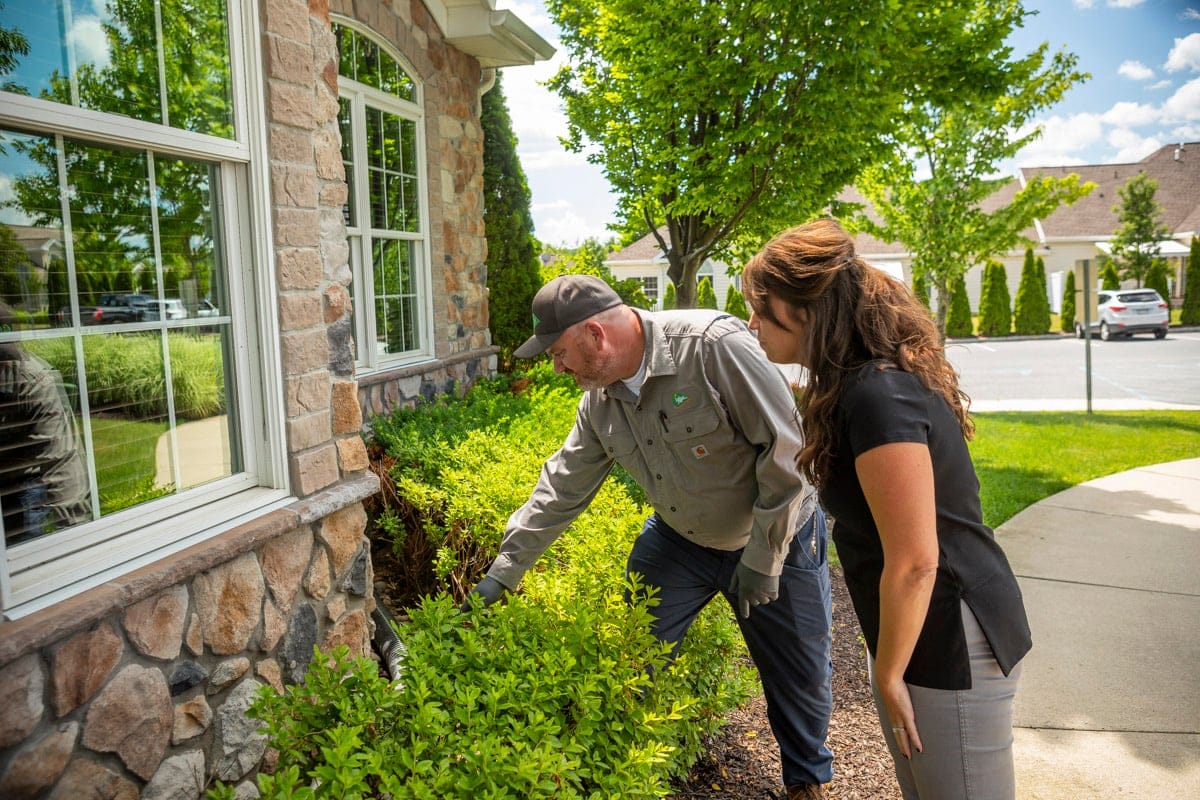 Professional spray service